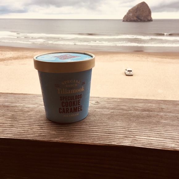 Meet your Posher, Dusty - Picture 1 of 1